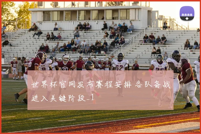 世界杯官网发布赛程安排 各队备战进入关键阶段_1