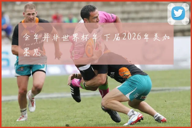 今年并非世界杯年 下届2026年美加墨见