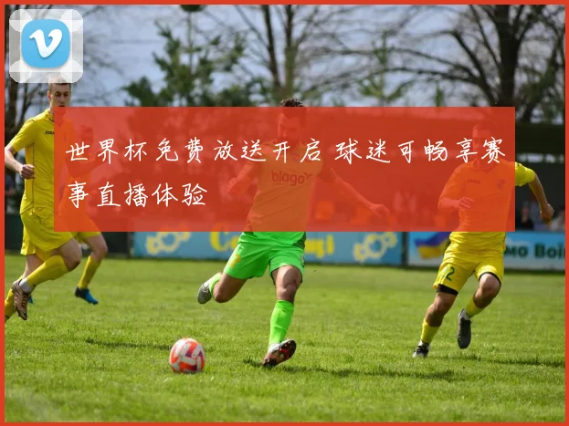 世界杯免费放送开启 球迷可畅享赛事直播体验